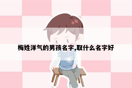 梅姓洋气的男孩名字,取什么名字好