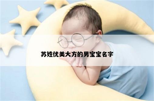 苏姓优美大方的男宝宝名字