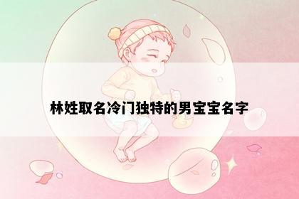 林姓取名冷门独特的男宝宝名字