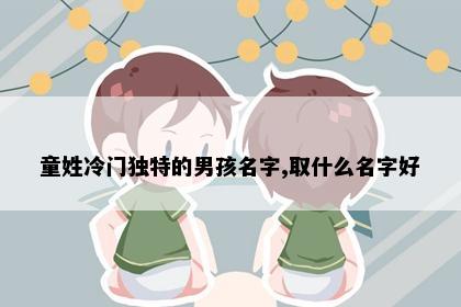童姓冷门独特的男孩名字,取什么名字好